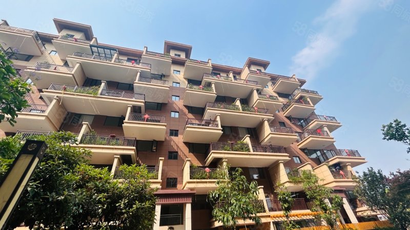 第四代住宅楼层九层电梯空中花园洋房满两年省税