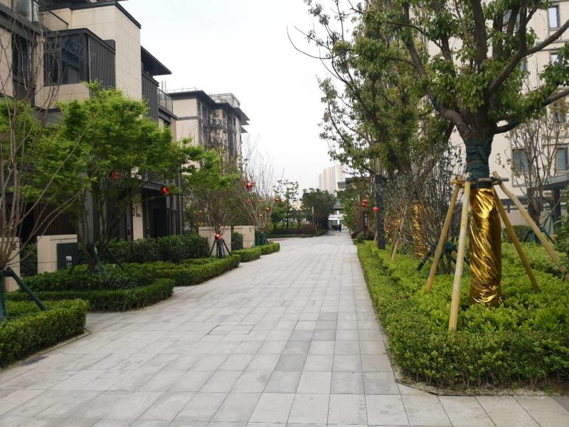 万象城隔壁温州万象天地精装高层视野开阔看三垟湿地公园