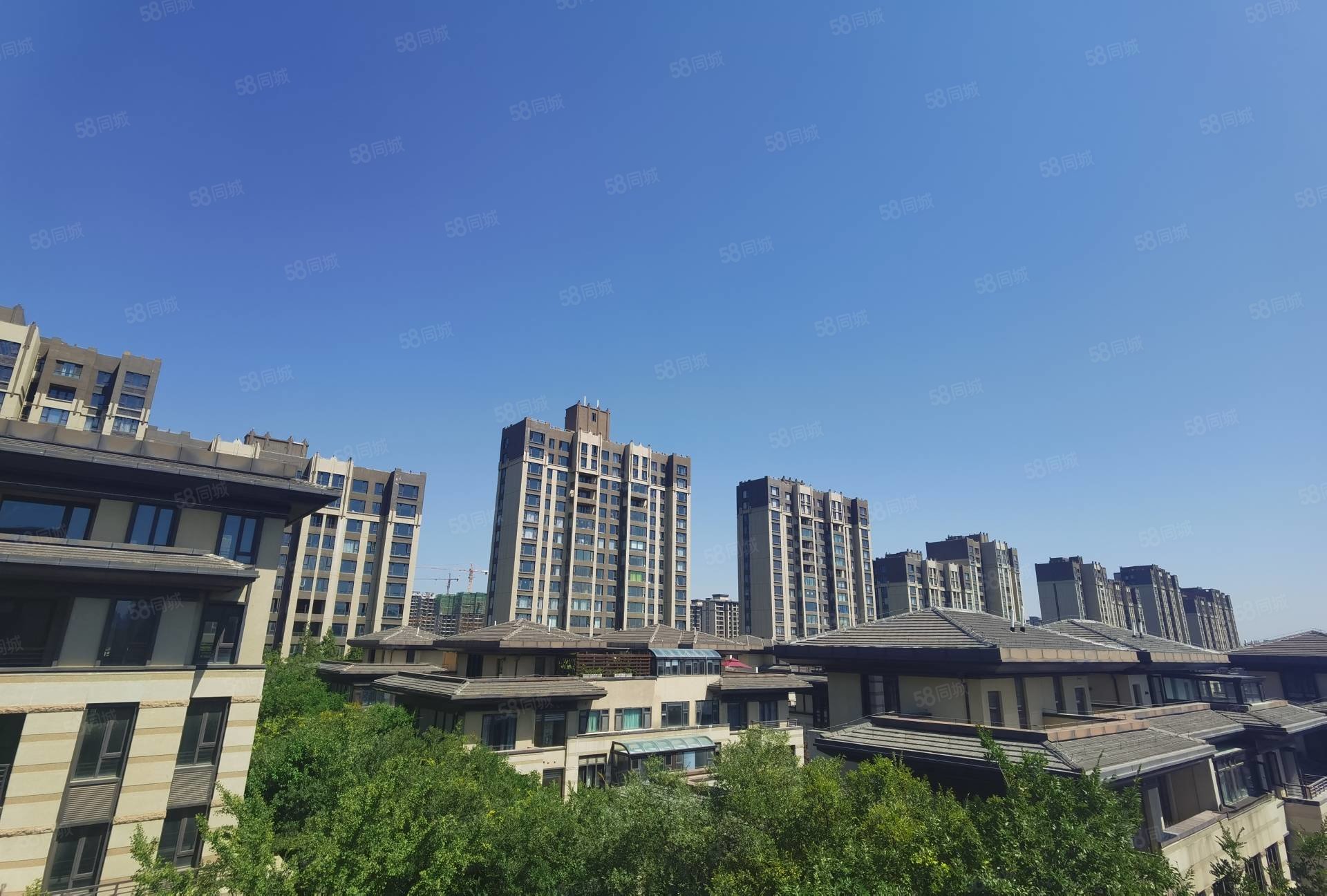 名门紫园(1期)6室2厅3卫256㎡南北230万