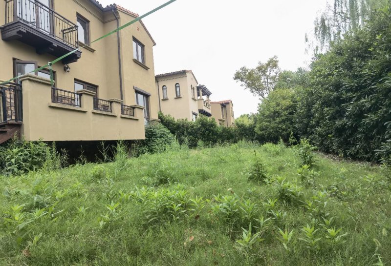 【10图】洞泾长泰西郊独栋别墅360平北进南花园南临河带下沉式庭院