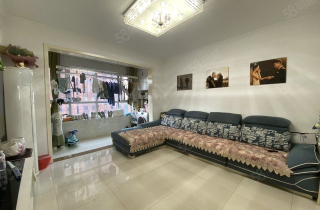 房东急售！ 新城帮 正规三室 电梯洋房 嘉明