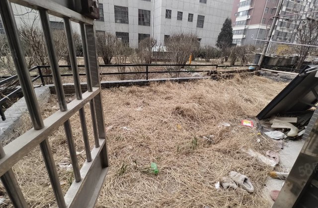 房东急售 一楼送院 免大税 诚心出 大三室 采光好 保证真实