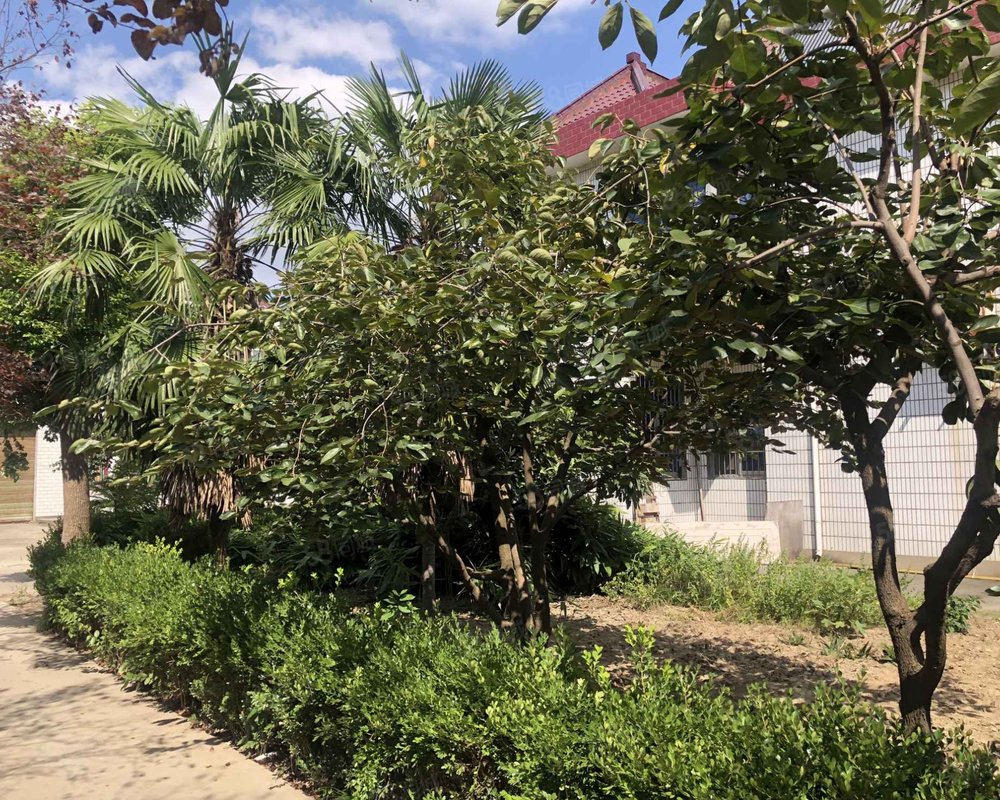 【华庄中心村, 华庄中心村小区详情,房价走势,房源,业主论坛】- 上海