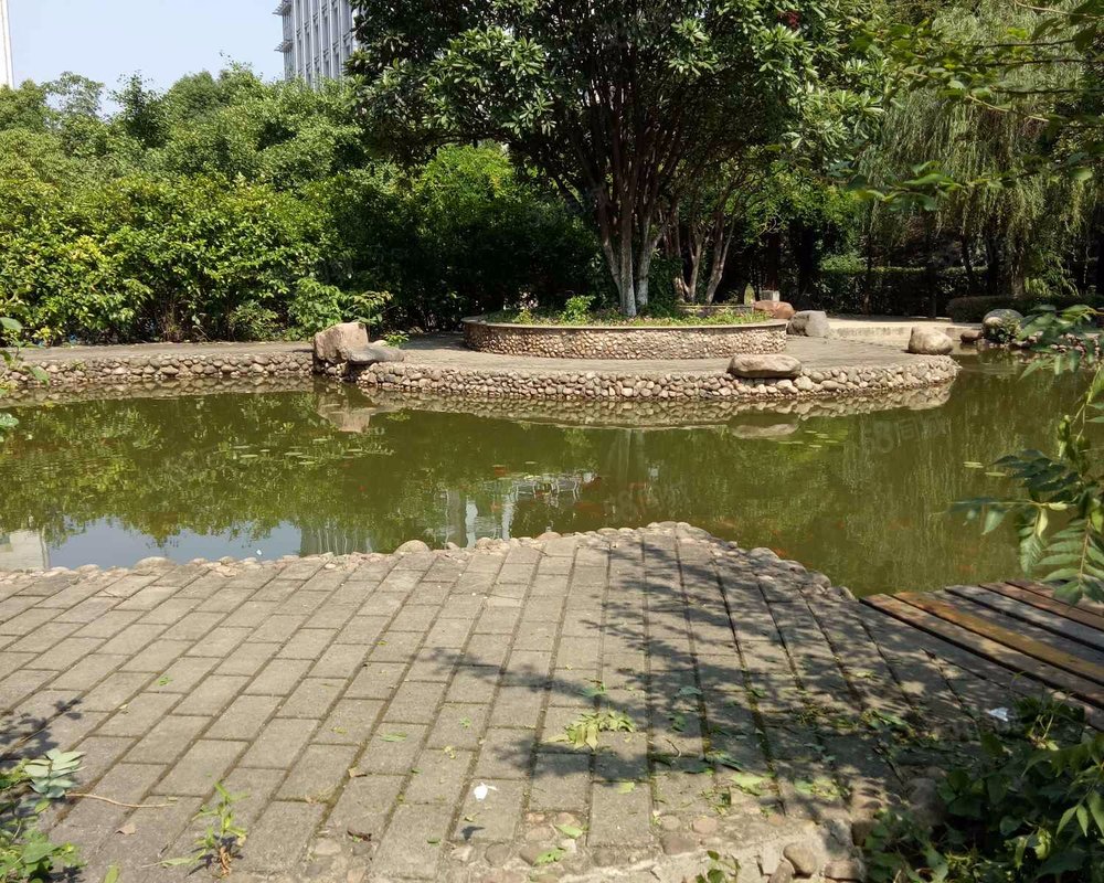 【贵都花园, 贵都花园小区详情,房价走势,房源,业主论坛】- 合肥58