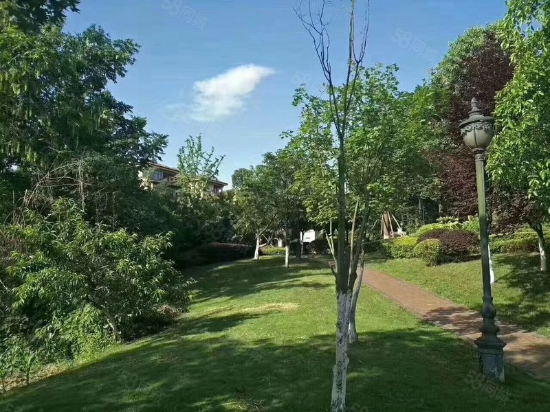 双流牧马山 三盛z便宜的联排 户型方正 房东诚心出售!