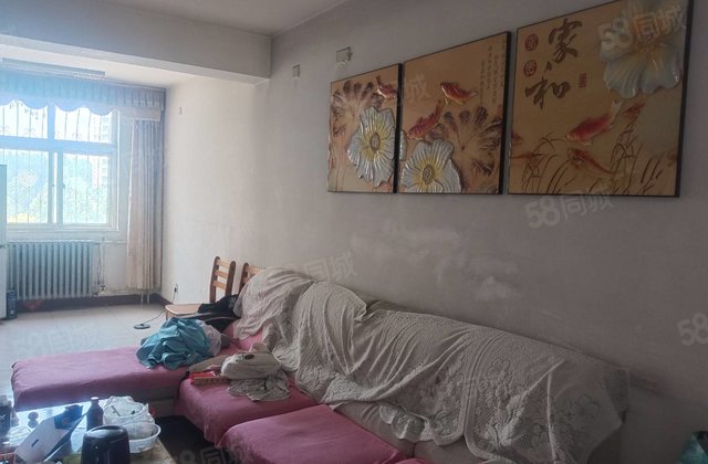 万达附近 东昌集团 三室 停车方便 桐凤家园 金丰苑 随时看