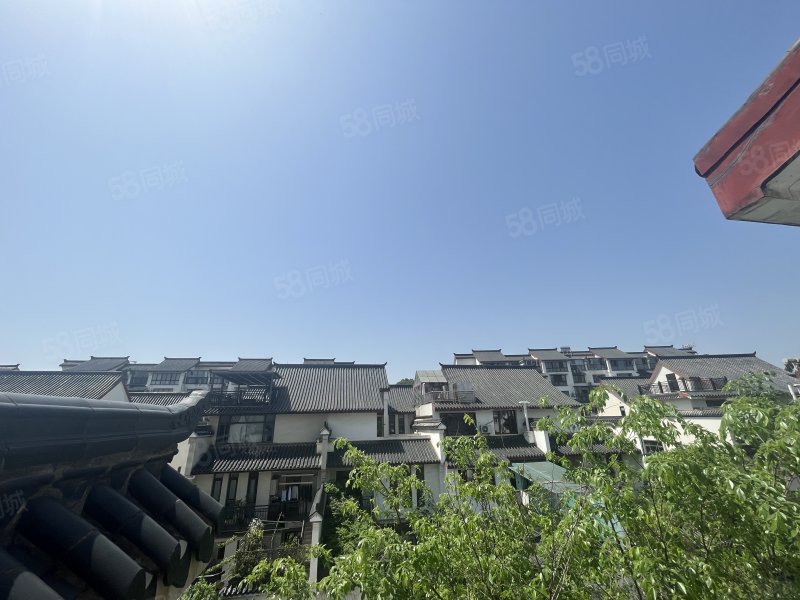 洋湖湿地公园汀湘十里中式风格别墅区花园周正南北通透
