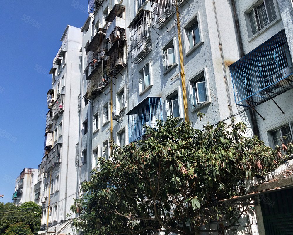 【杜鹃园, 杜鹃园小区详情,房价走势,房源,业主论坛】- 汕头58同城