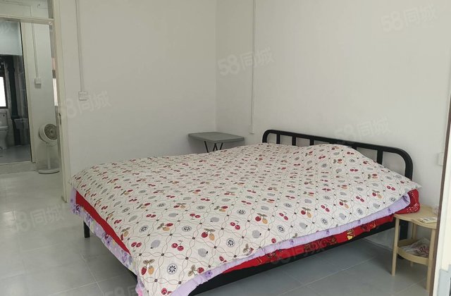 低价出售东昌中学水城华府国棉厂西家属院 精装好房 边户型