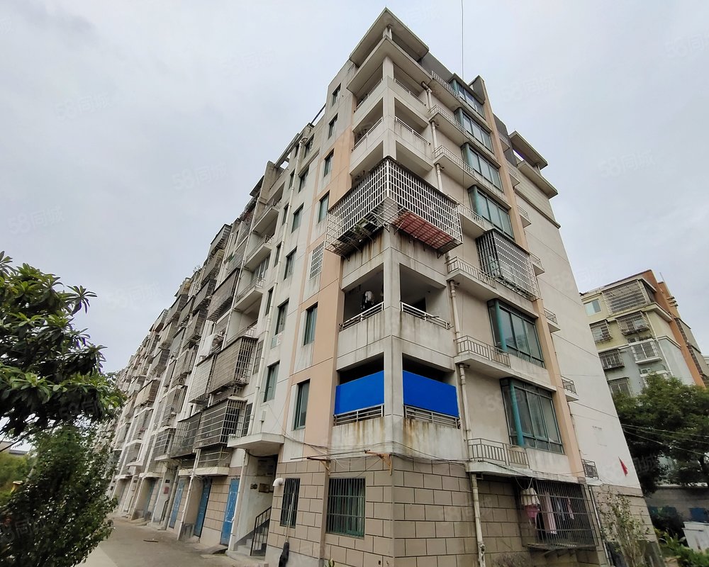 【江东五区, 江东五区小区详情,房价走势,房源,业主论坛】- 江山58