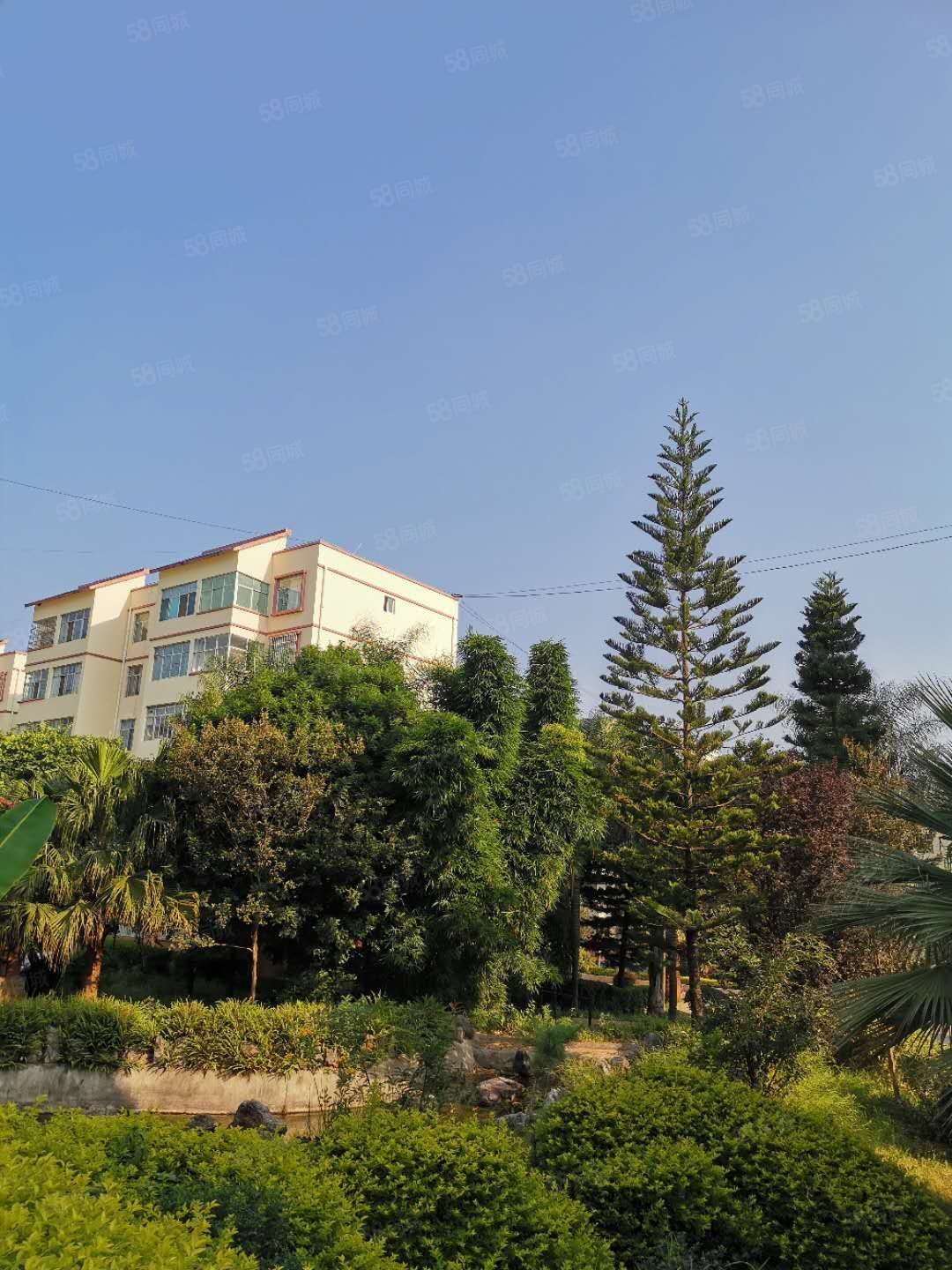 盛德花园4室2厅3卫180㎡南北75.6万