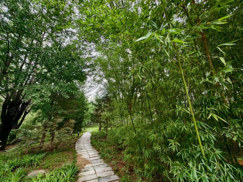 博雅西園3室2廳2衛(wèi)151.37㎡南1430萬