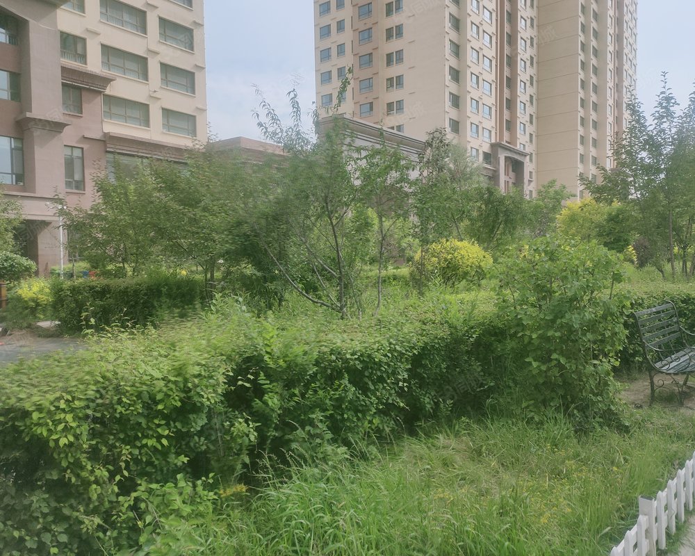 青唐小镇西苑小区详情,房价走势,房源,业主论坛】- 西宁58同城