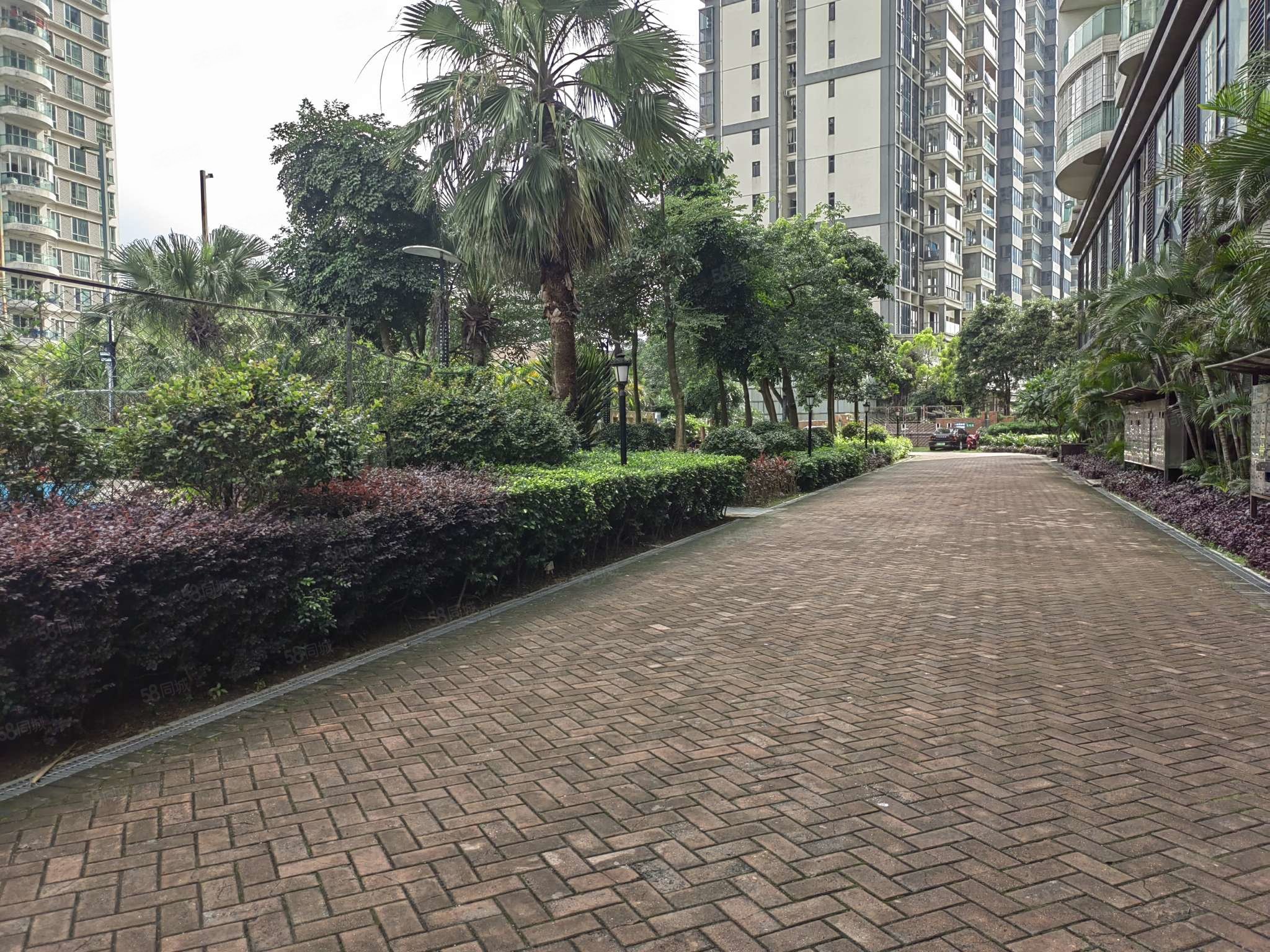 金逸雅居-清远58同城