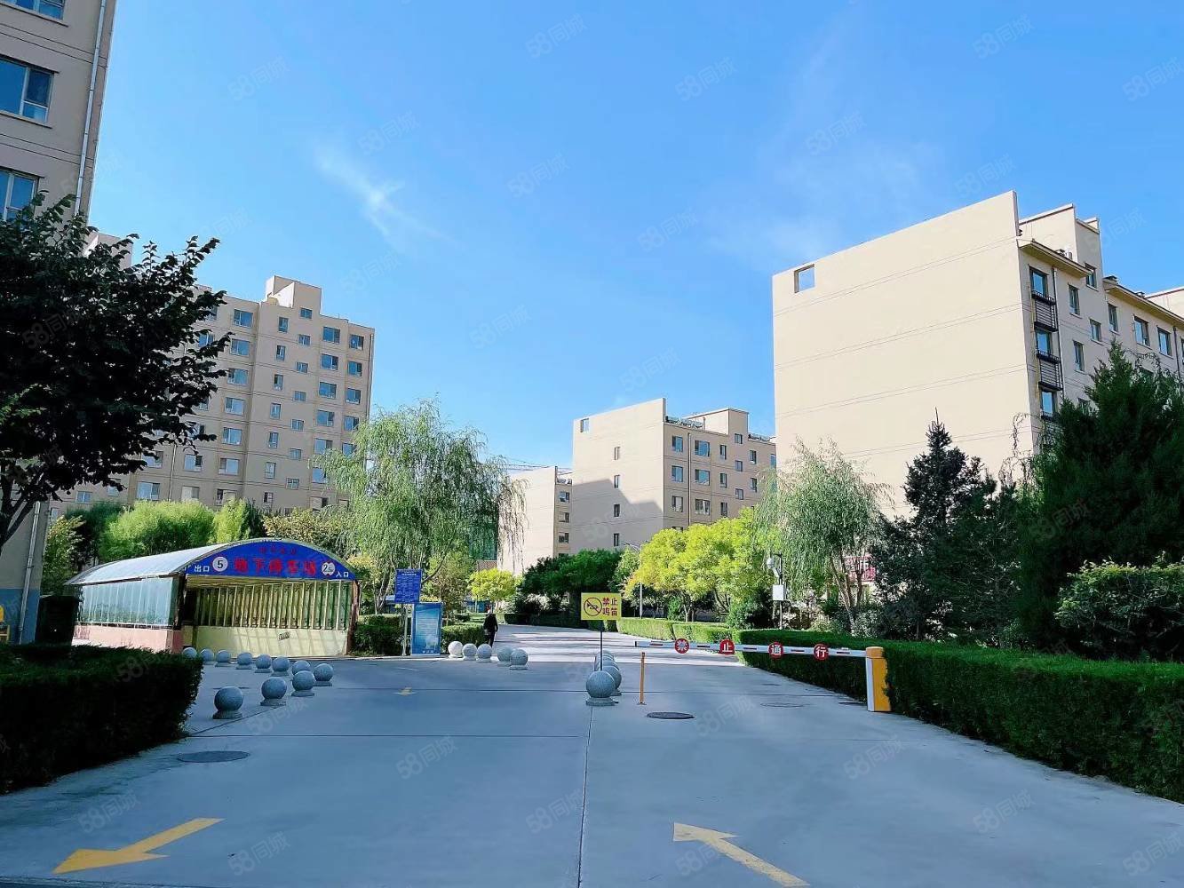 毓秀花园3室2厅2卫130㎡南北46.5万