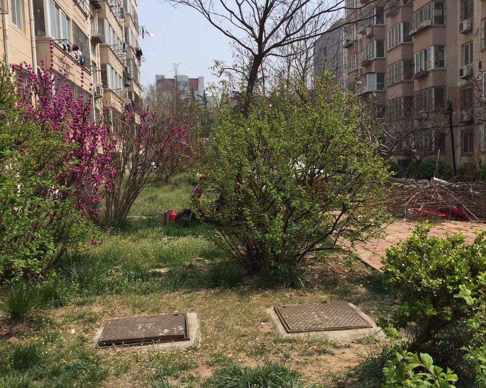 海滨广场小区小区详情,房价走势,房源,业主论坛】- 青岛58同城