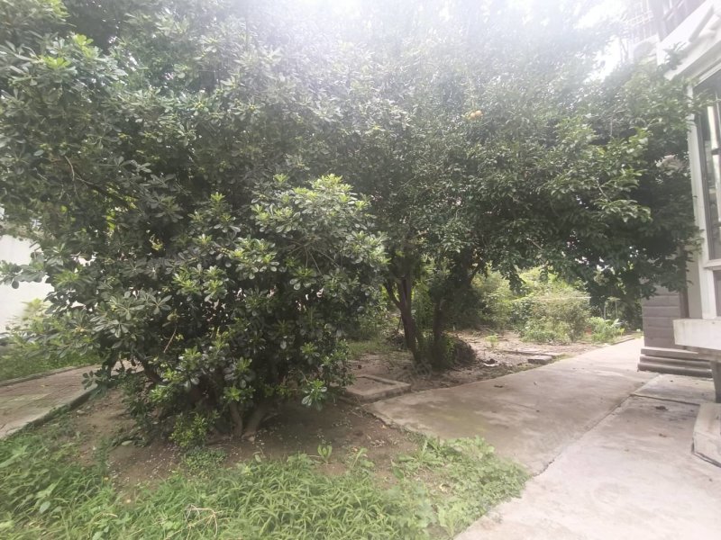 丰水源清华苑3室2厅2卫116㎡南北50万