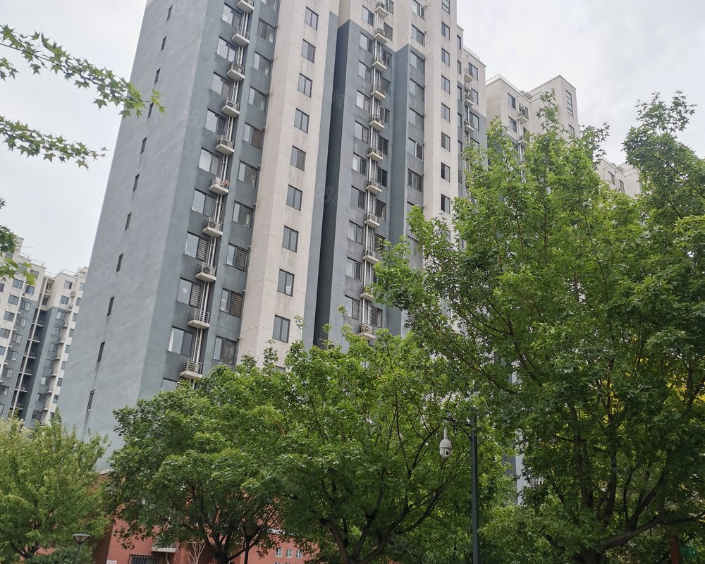 【唐家岭新城(西区), 唐家岭新城(西区)小区详情,房价走势,房源,业主