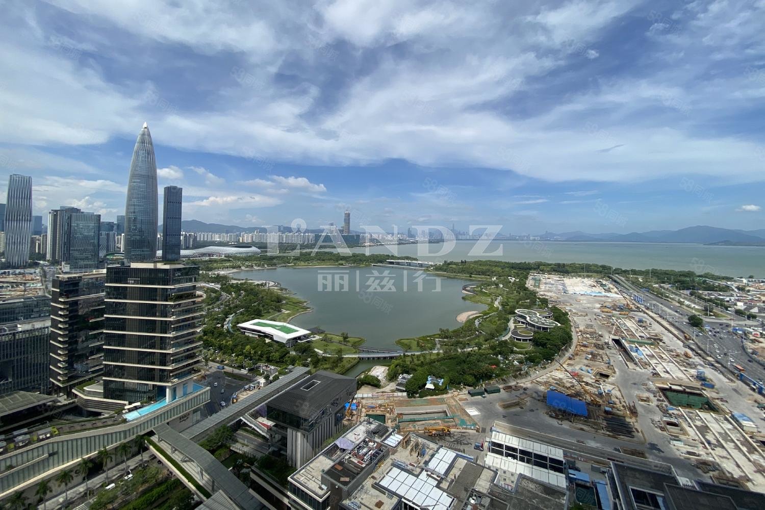 粤海街道深圳湾一号图片