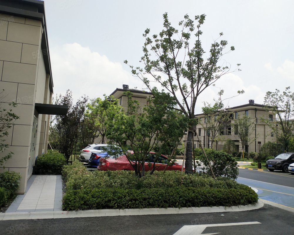 新南浔孔雀城