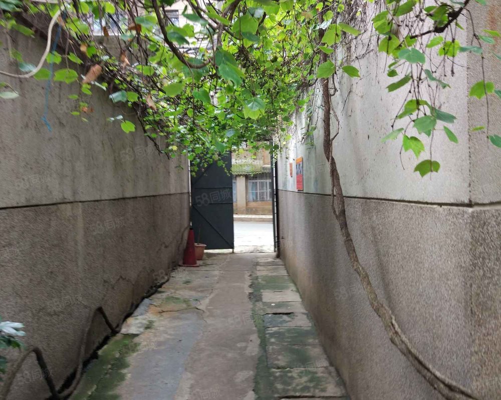 府甬道小区环城路以内