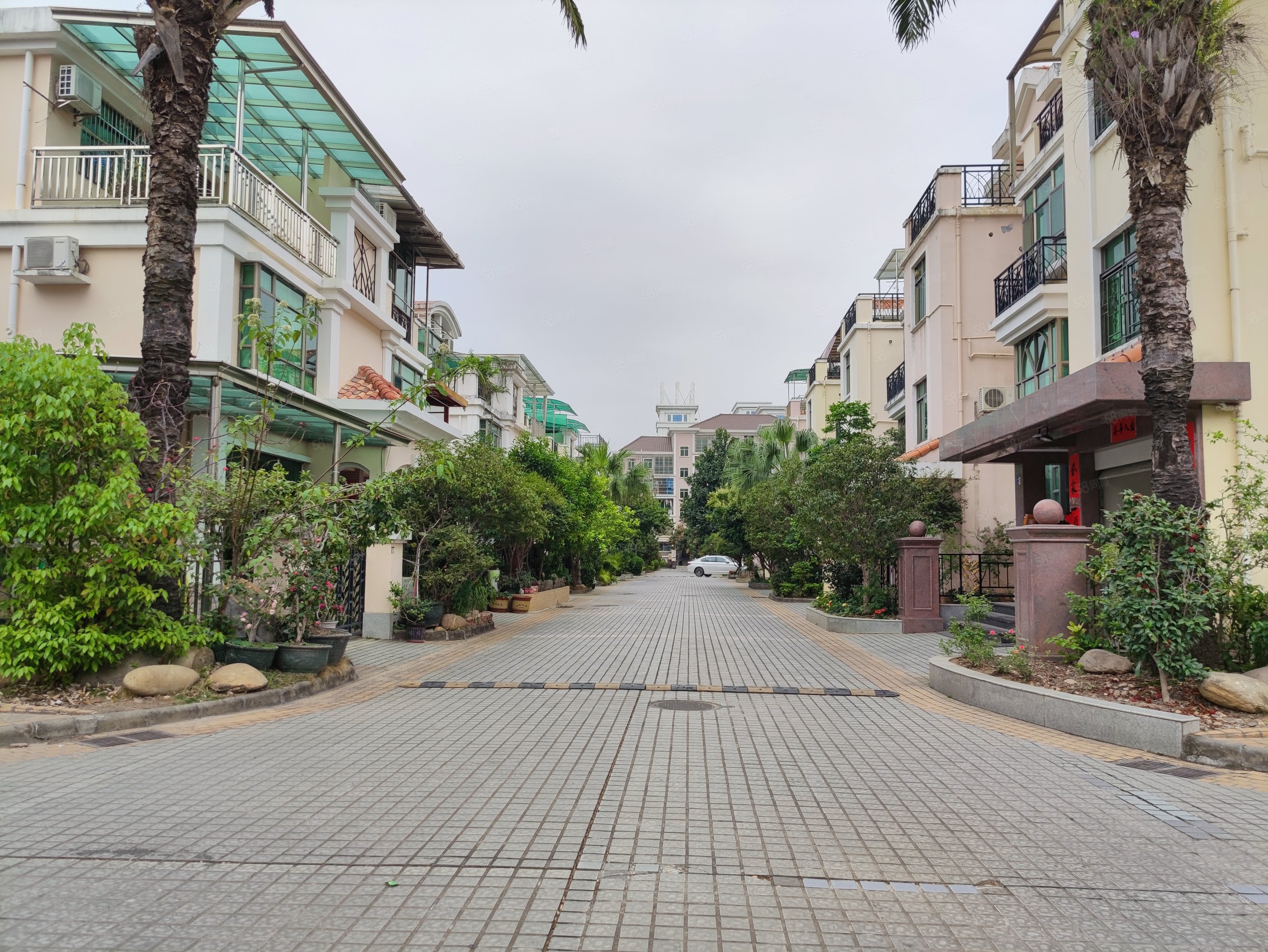 樟木头镇府50米,独栋别墅4层,7房2厅4卫,朝南向带大花园,帝雍园(别墅)