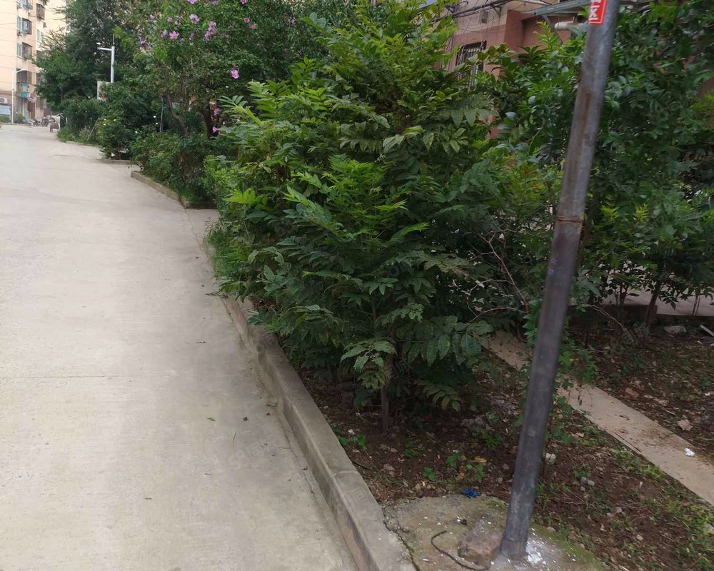 【杏山花园, 杏山花园小区详情,房价走势,房源,业主论坛】- 徐州58