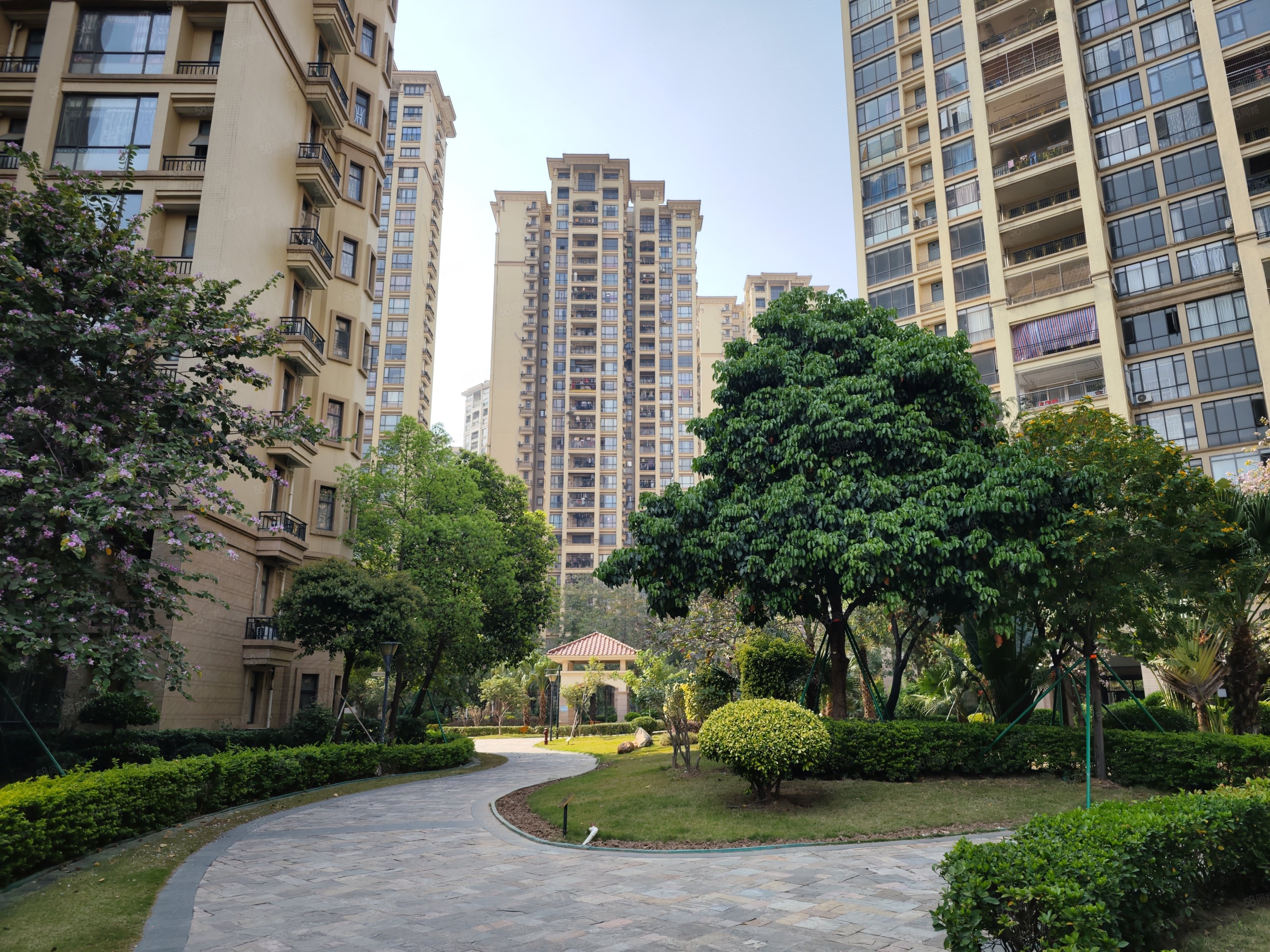 金海岸花园稀有靓盘楼层好看房方便