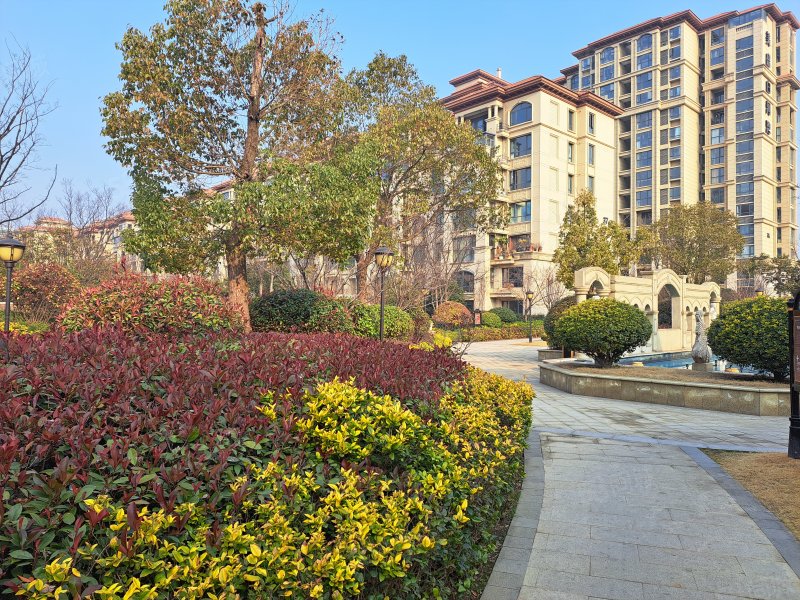 别墅美盛白河湾电梯五层前后院子带两个车位楼顶平台豪装