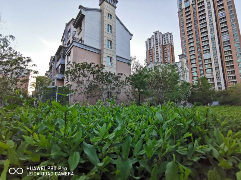 正在盖 ,三叶草户型环境优美,物业很好,华源博雅馨园-乌鲁木齐58同城