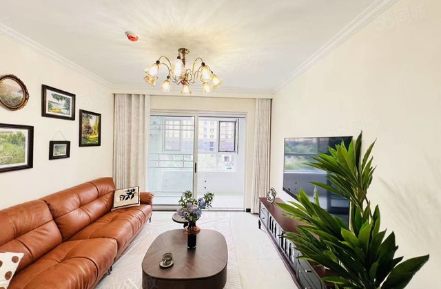 文轩旁 实验 九州国际 元宝户型 精装两室两厅 免大税