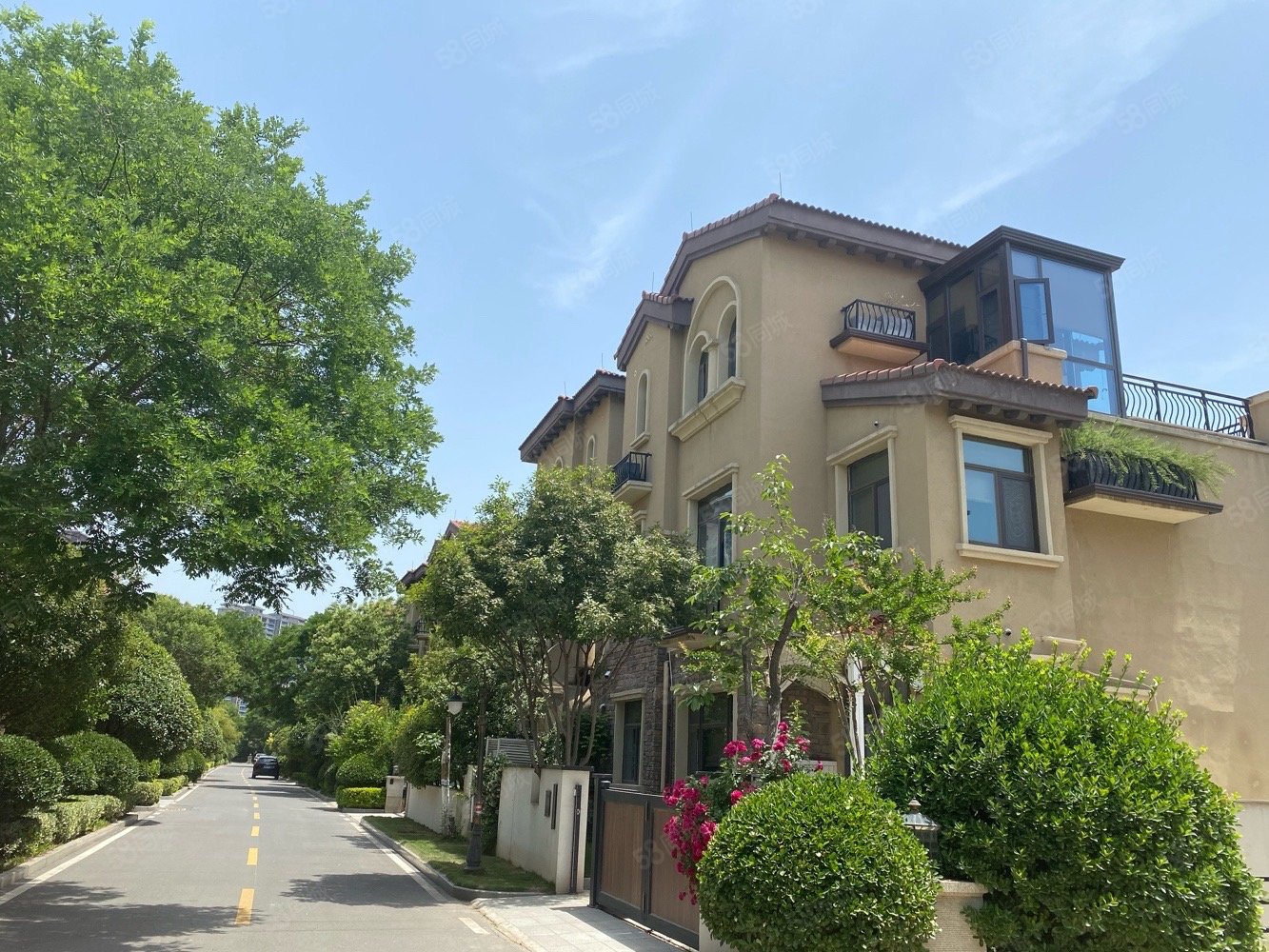 洛阳碧桂园(别墅)5室3厅3卫240㎡南北319万