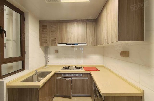 碧桂园国岳府 免大税 东昌东校 实验   徒骇河观景 双卫