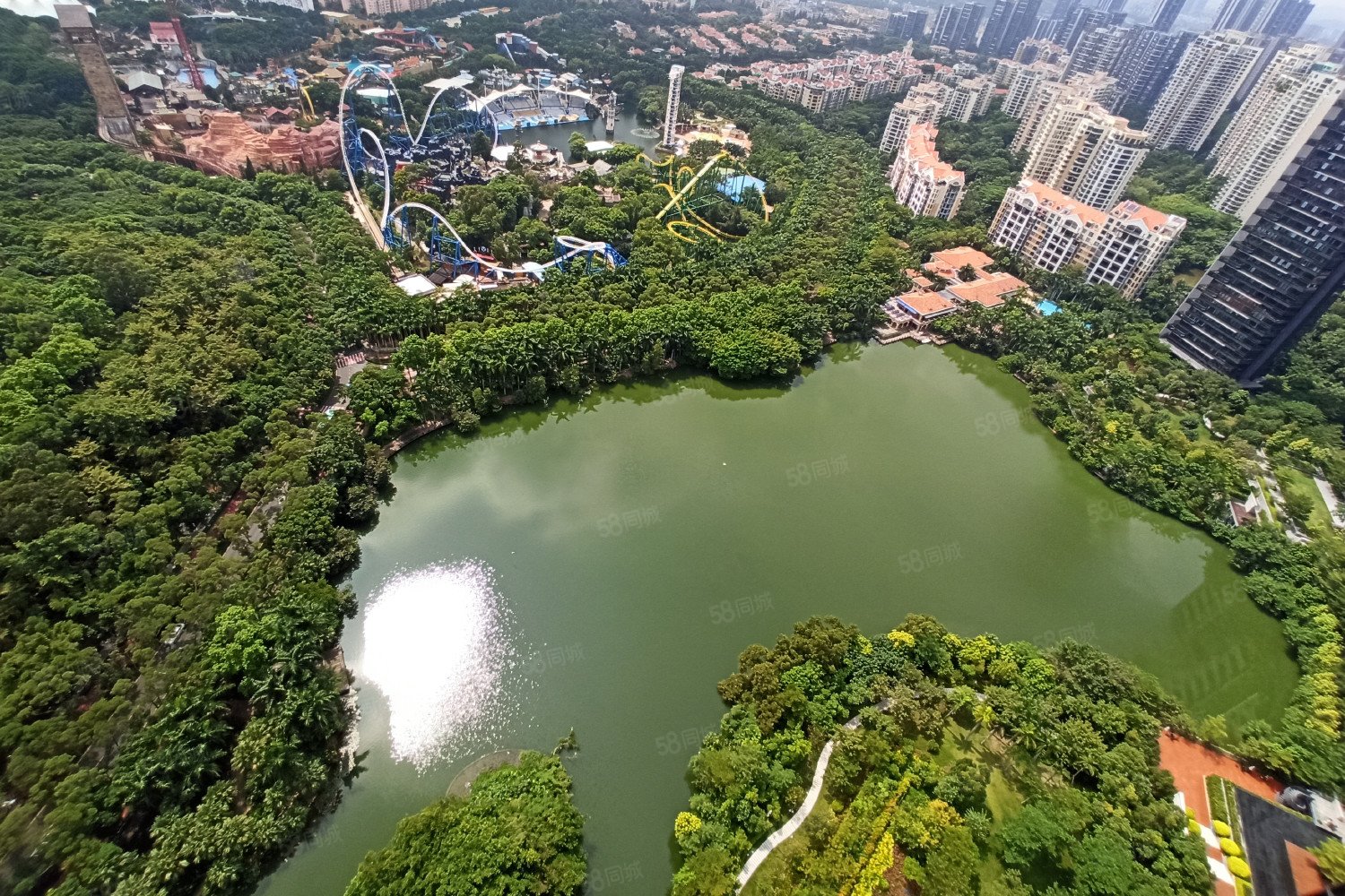 天鹅湖花园二期294平超高楼层丨出诚售