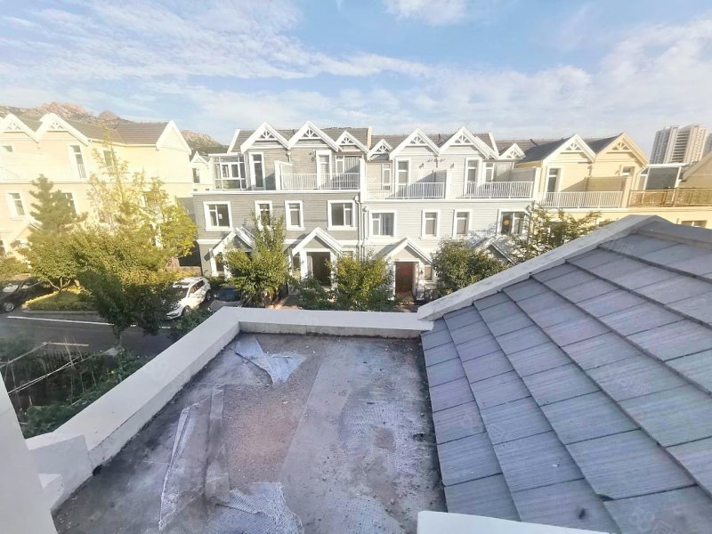 大溪谷(二期别墅)4室2厅3卫205.5㎡南北395万