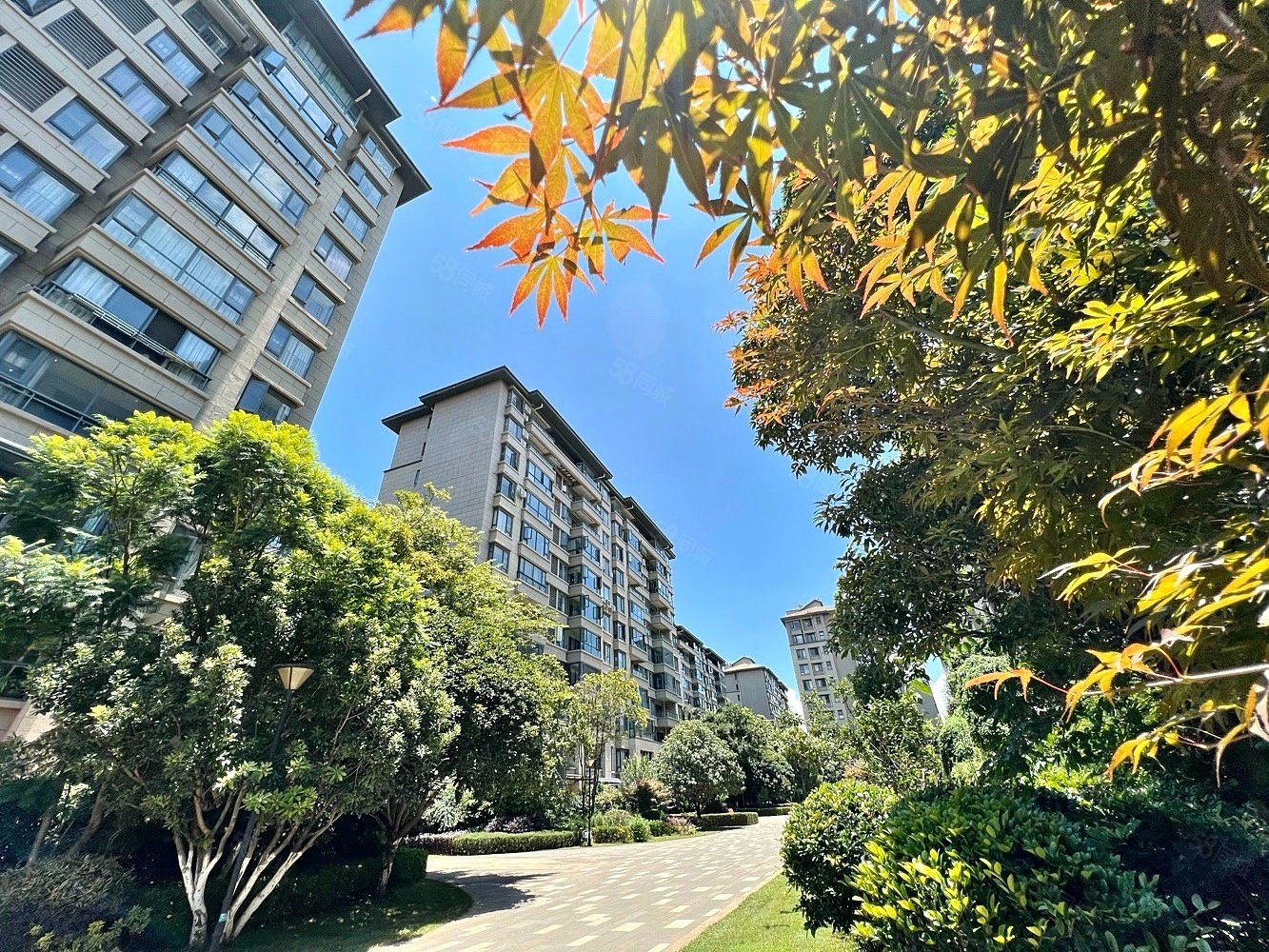 业主急售滇池会展中心旁招商海公馆低密度电梯洋房近地铁