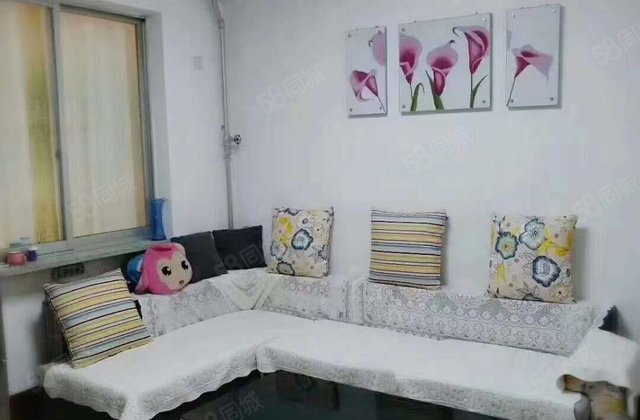 文轩外国语老一中    95万 师范家属院电业局四院龙山花园