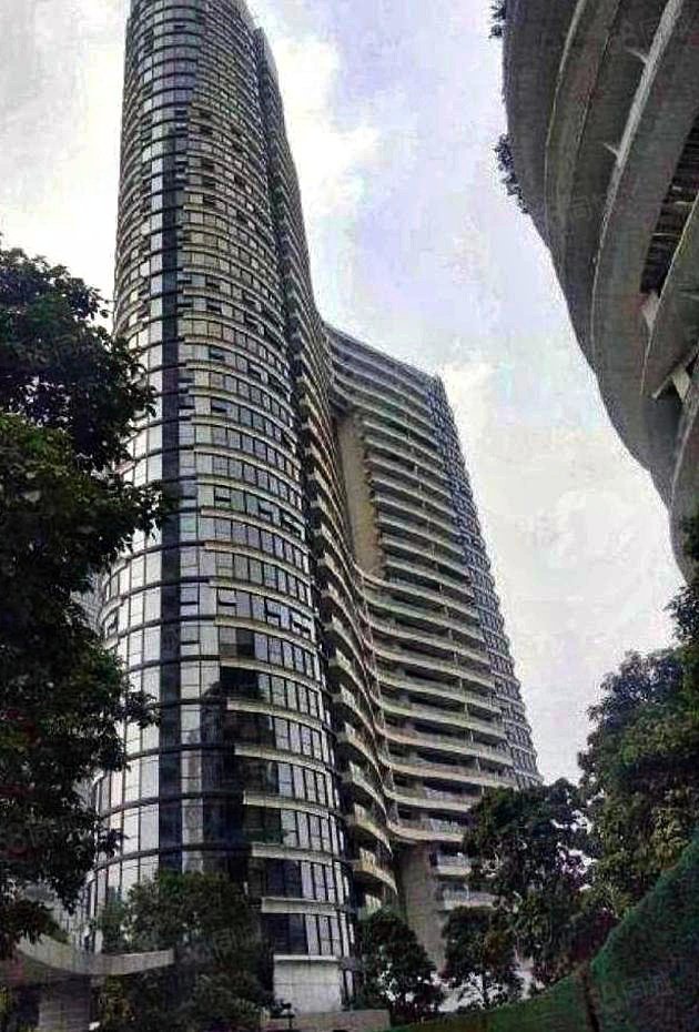 天誉半岛花园4室2厅3卫270.3㎡南2288万