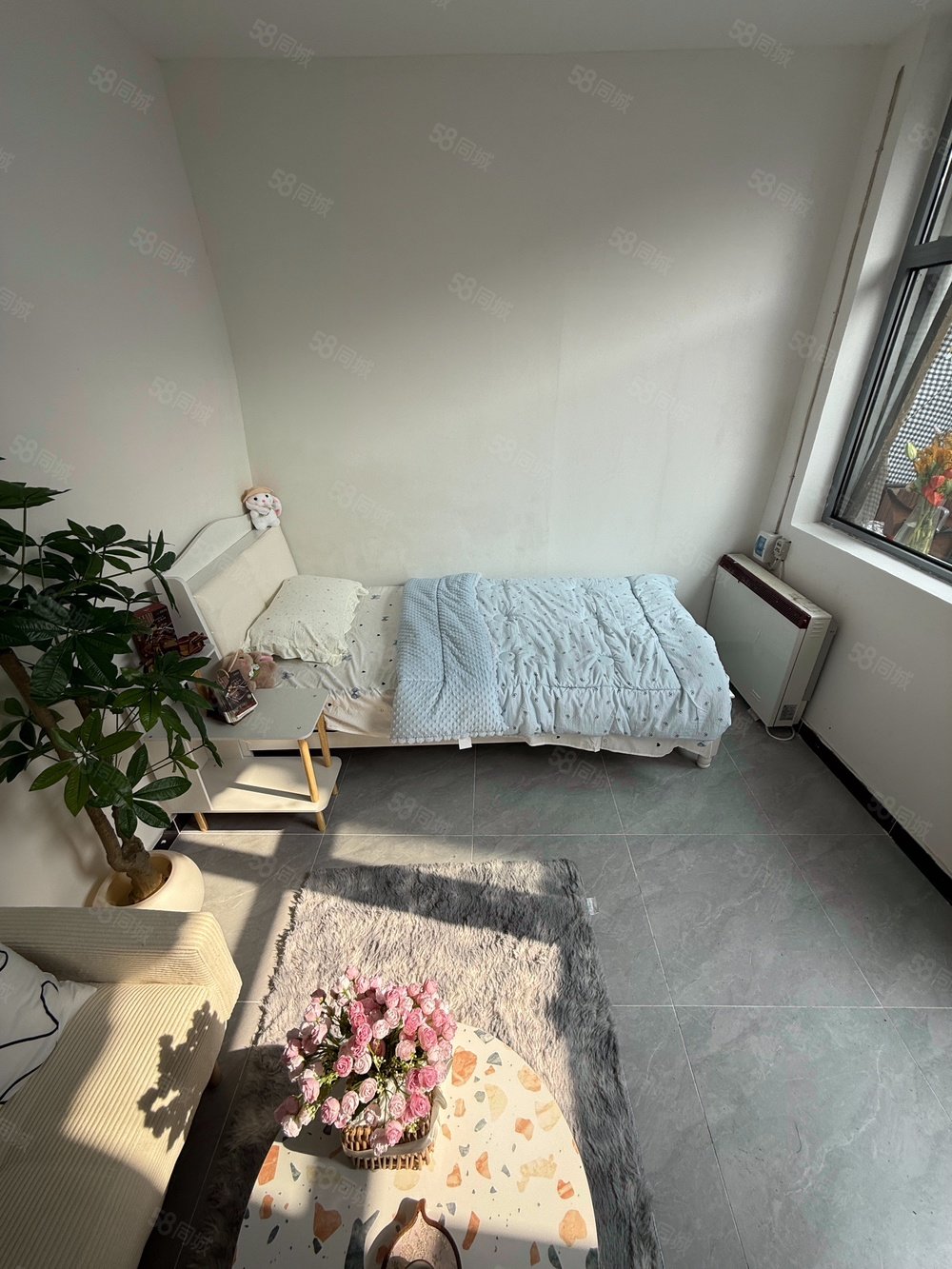 鼓樓東大街小區(qū)1室0廳0衛(wèi)11.9㎡南北195萬