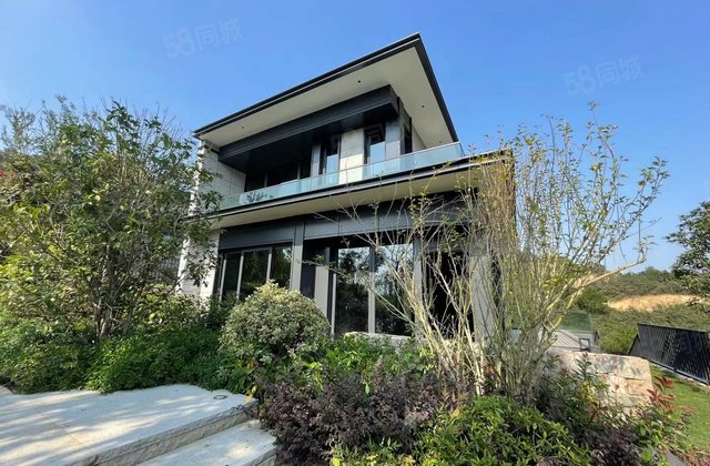 9分经纪人唯一住房德清市区正翔广场舞阳街德信郡望府2018年建造高层