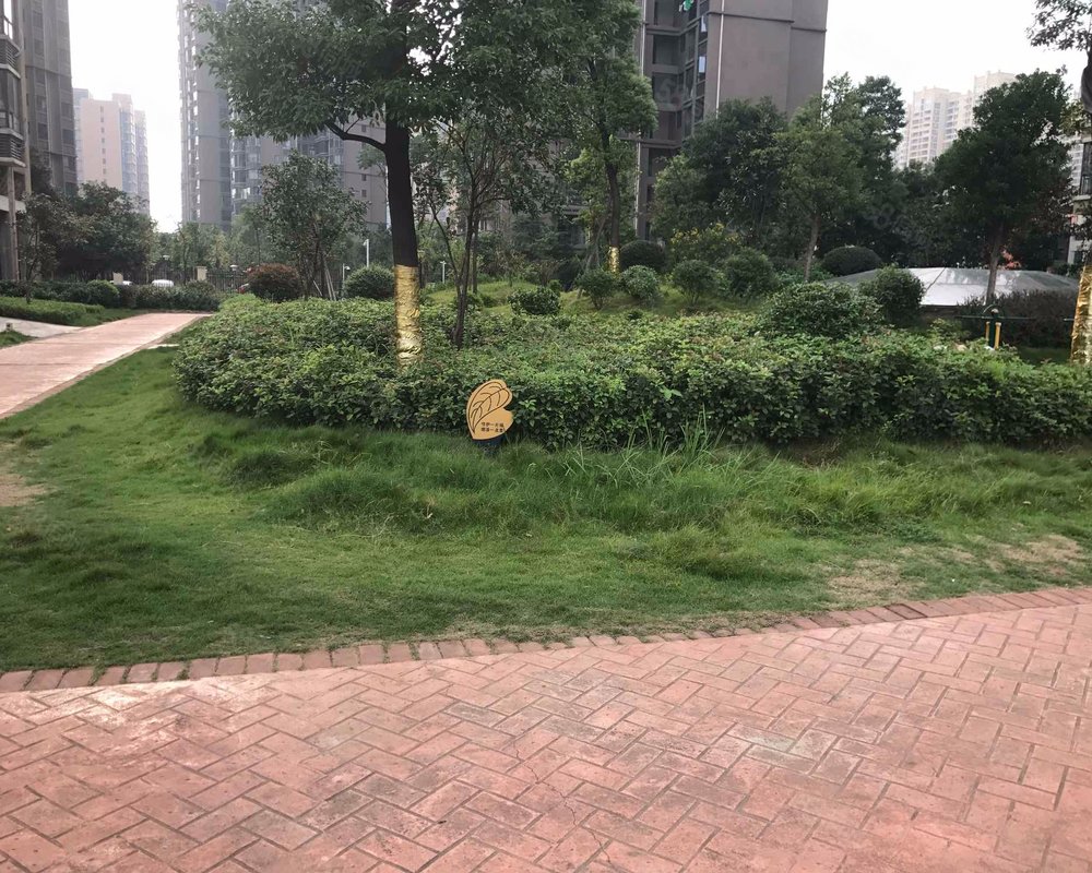 盛腾学林西岸小区详情,房价走势,房源,业主论坛】- 长沙58同城