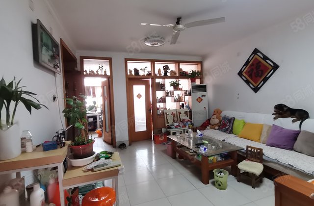 阳光实验一墙之隔 三里铺小区 多层2楼 三室好房 停车方便