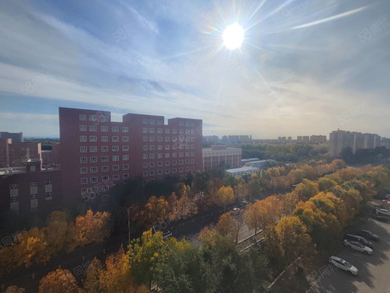 青湖铭城4室3厅2卫183㎡南北57万