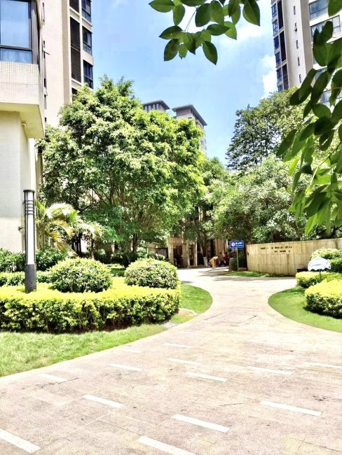 窑埠古镇旁盛天悦景台别墅上下6层送花园地下室露台亏本处理