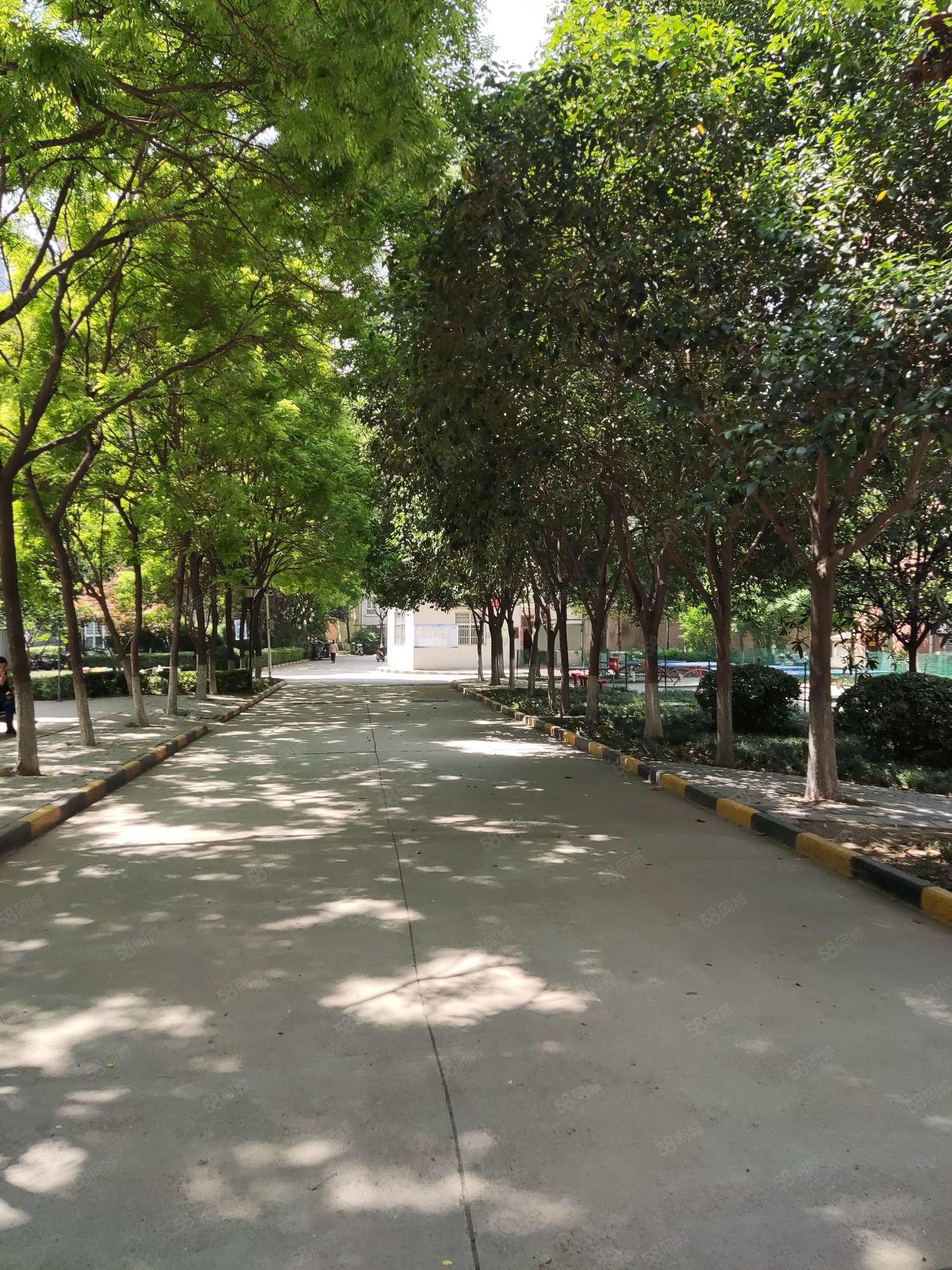 枫韵蓝湾3室2厅1卫105.59㎡南159.9万