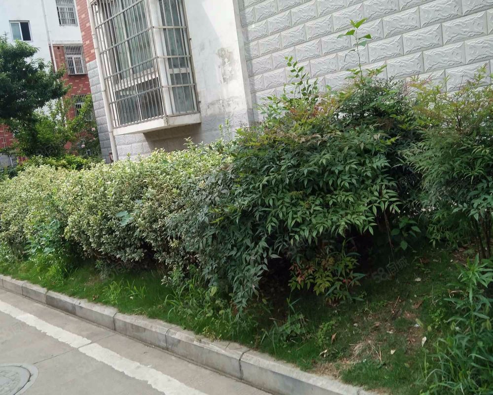 【李湾小区(一期), 李湾小区(一期)小区详情,房价走势,房源,业主论坛