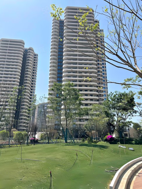 清凤滇池美岸2室2厅1卫88㎡南北70万