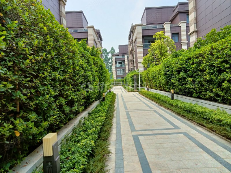 【10图】联排别墅,上下六层,实用900平,万科皇马郦宫(别墅)-东莞58