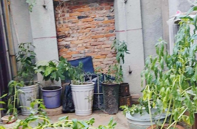 伊河路14号院3室1厅82.02㎡120万二手房图片
