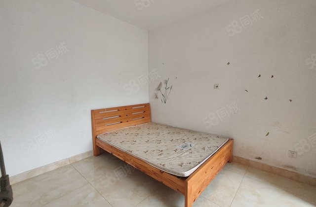 电梯房 二中   南北通透 金柱大学城B区  两室两厅